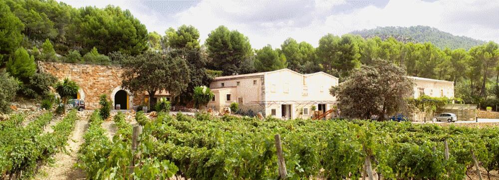 Bodegas Agronavarra