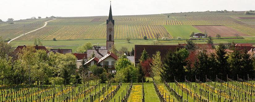 Weingut Axel Neiss