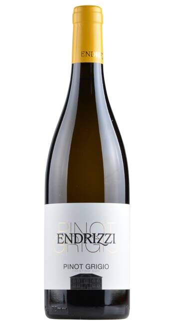 Endrizzi Pinot Grigio Trentino DOC