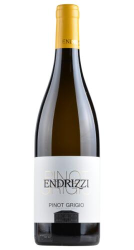 2024 Endrizzi Pinot Grigio Trentino DOC