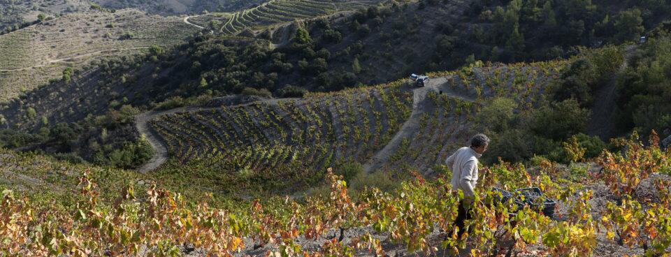 Celler de l'Encastell