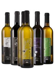 Vielfalt aus Ungstein Weingut Wolf