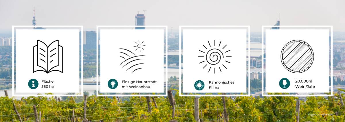 Statistik zu dem Weinbau in Wien
