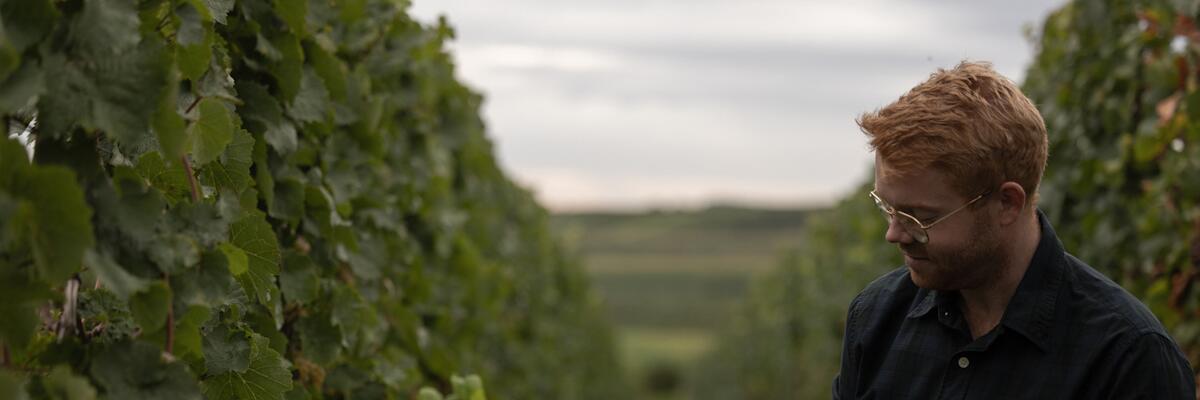 Weingut Dr. Hinkel