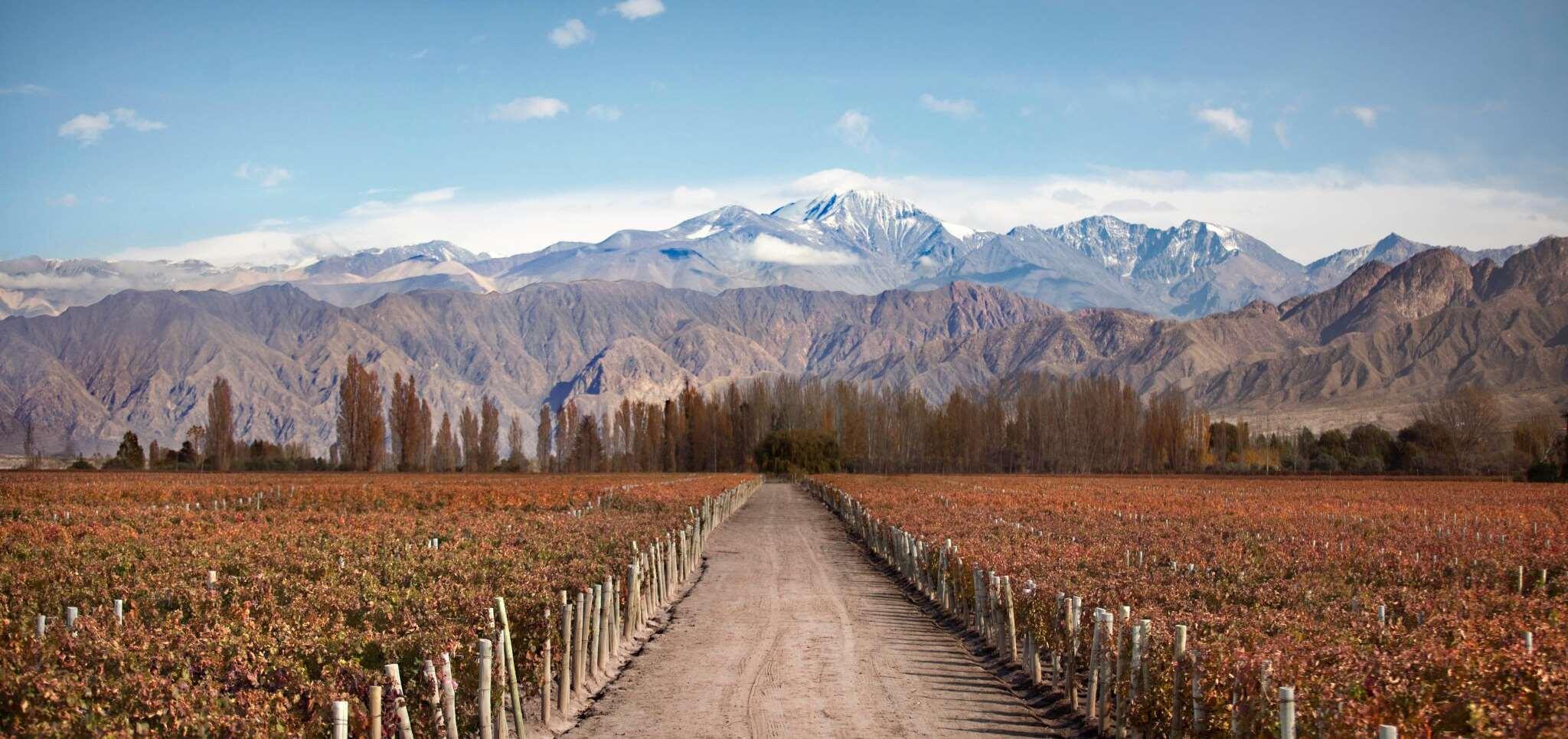 Bodega Atamisque