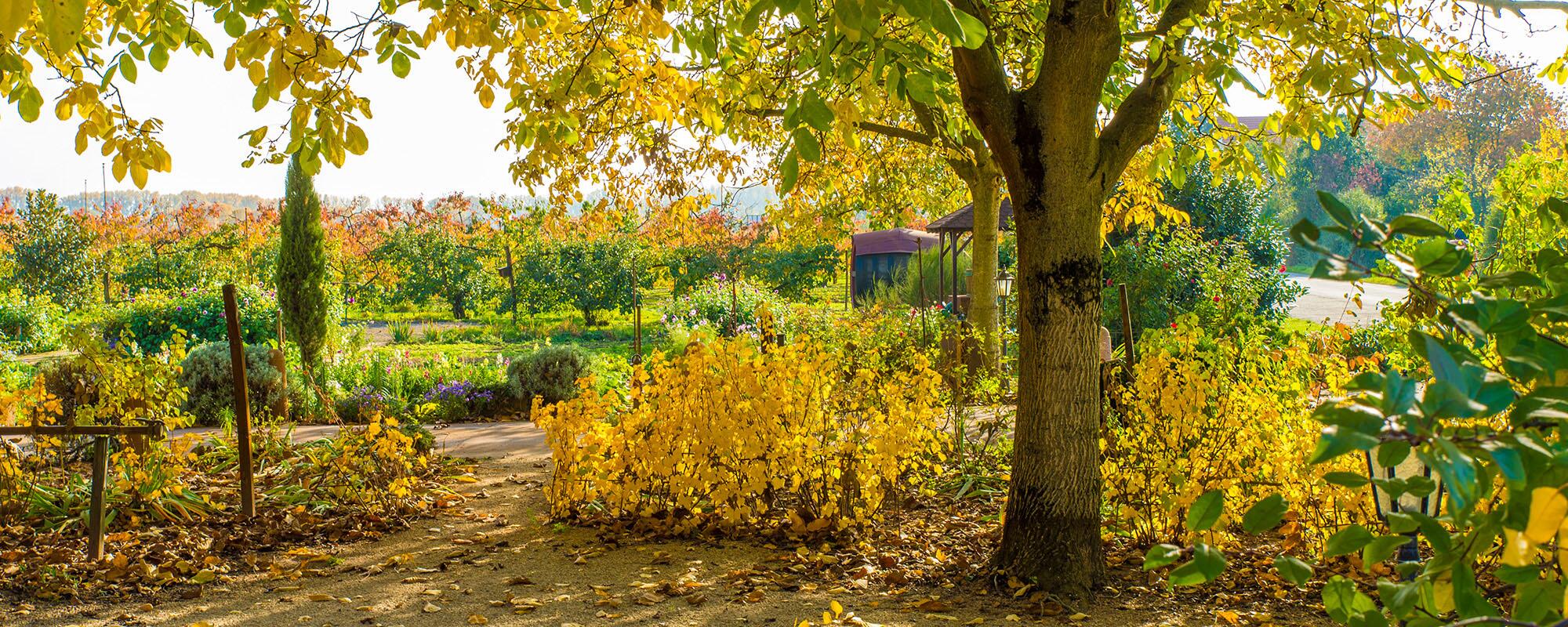 Weingut Schröder