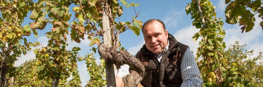 Weingut NIK WEIS -  St. Urbans-Hof