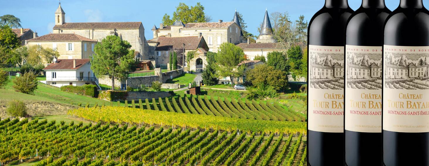 Château Tour Bayard