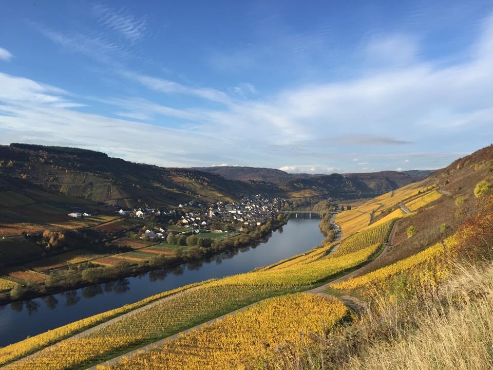 Weingut Julius Treis