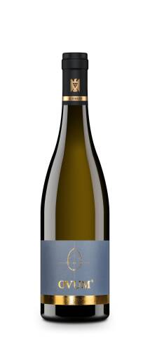 2020 "OVUM" Sauvignon Blanc trocken - Limitiert 1Fl./Kunde