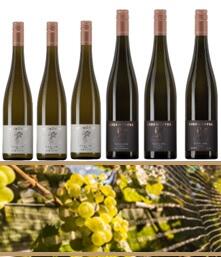 Genusspaket "2023er Terroir & Riesling"