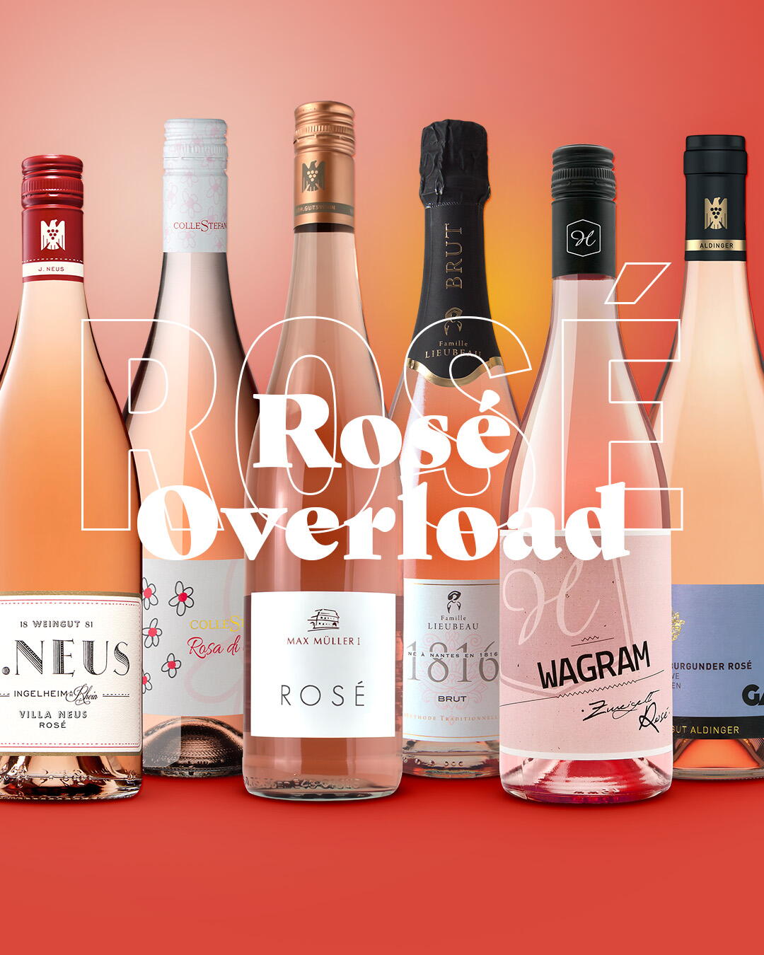 Rosé Overload - Paket