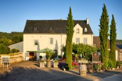 2023 Merlot Rosé trocken