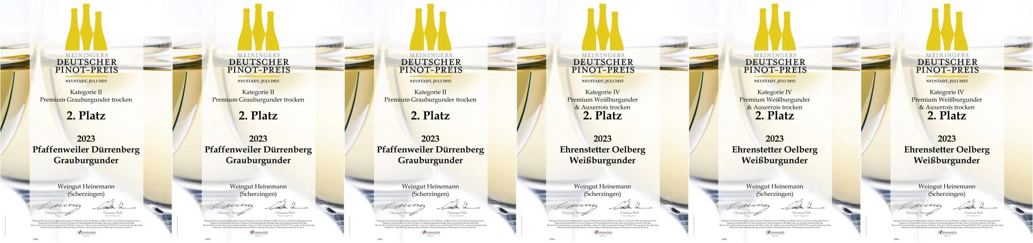 Meininger Preis 2025