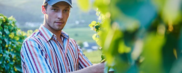 Weingut Daniel Anker