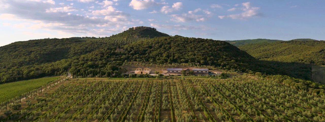 Weingut Tenuta Il Poggione