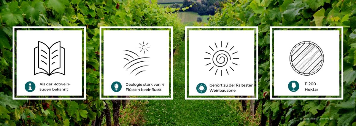 Grafik mit Statistiken zum Weinbau in Württemberg