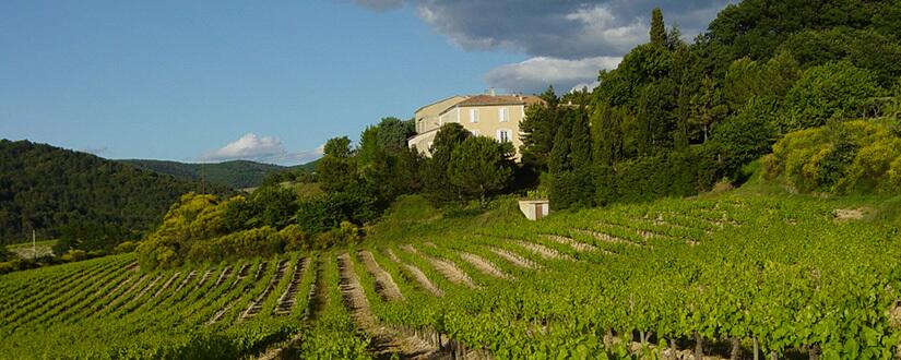 Weingut Bertrand Stehelin