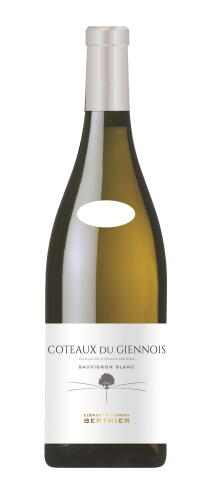 2025 Coteaux du Giennois Blanc (bio)