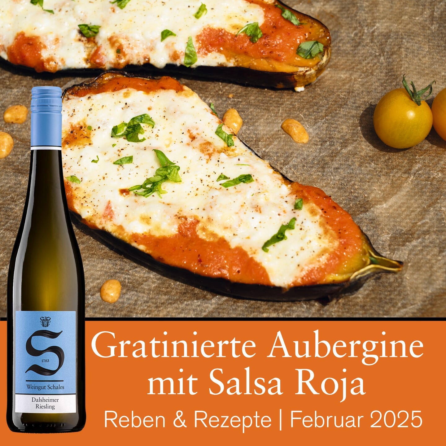 Rezept-Tipp | Set Februar 2025 (P079)