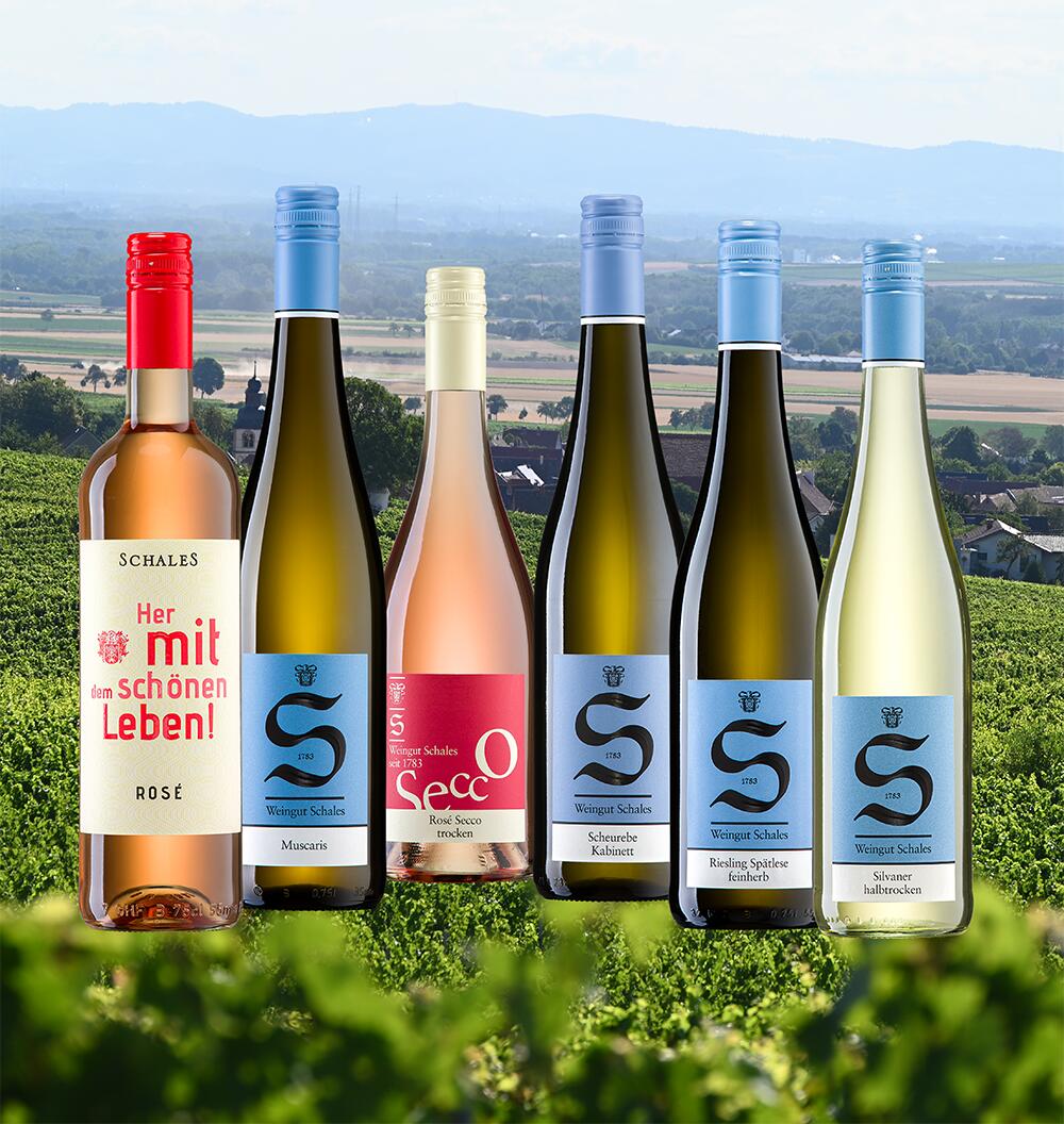 Sommer-Weine FEINFRUCHTIG