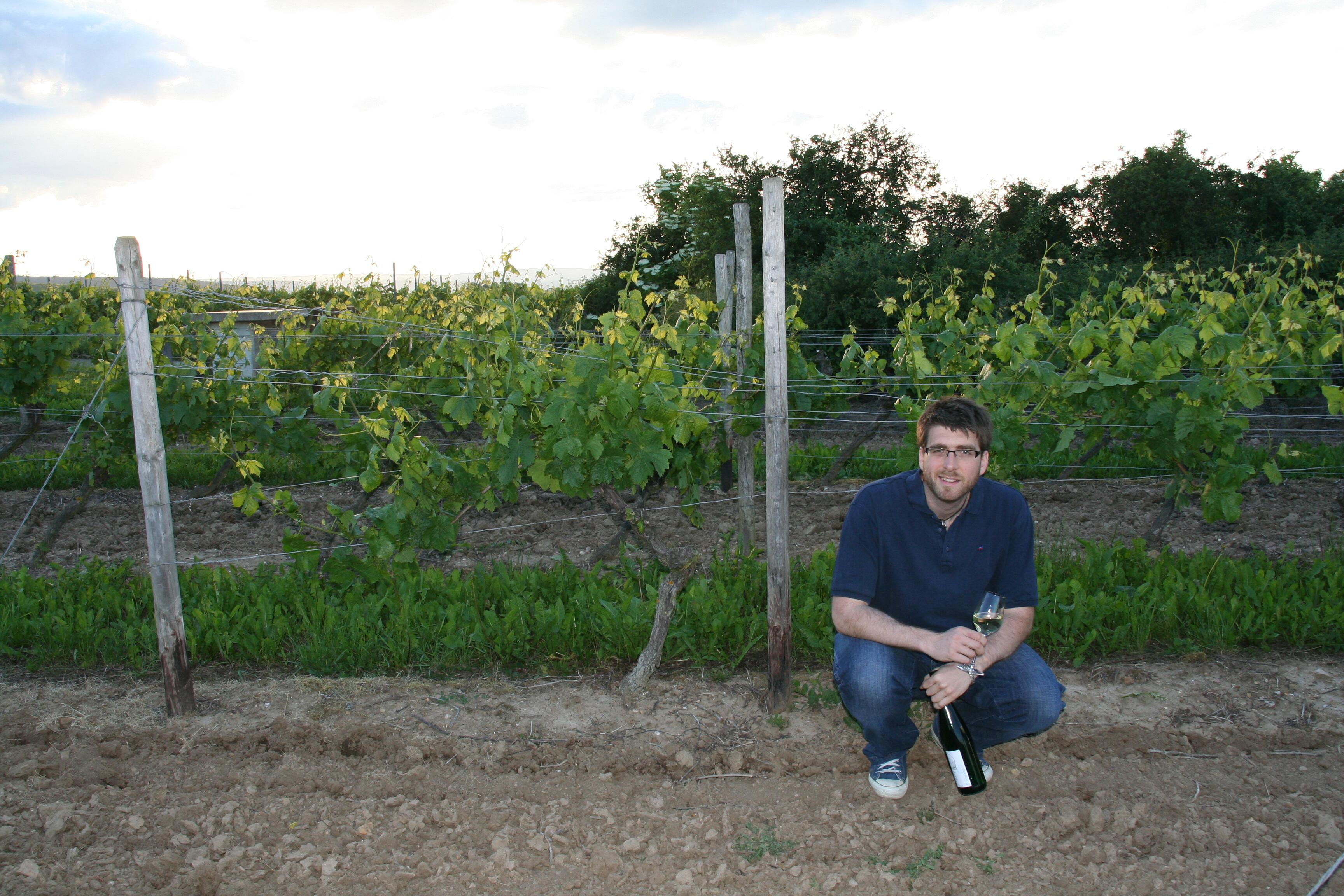 Weingut Heinrich Immich-Anker