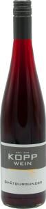 Gutsabfüllung Weingut Kopp Pfalz 22er Spätburgunder Prädikatswein trocken Wein (rot) Weingut Kopp GmbH