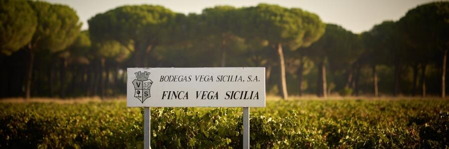 Weingut Vega Sicilia