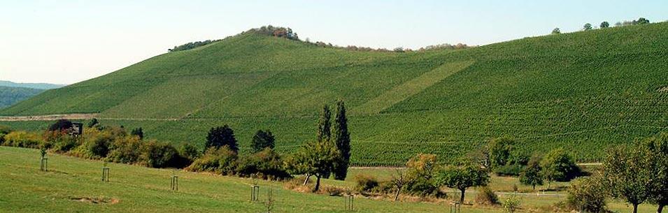 Weingut von Hövel