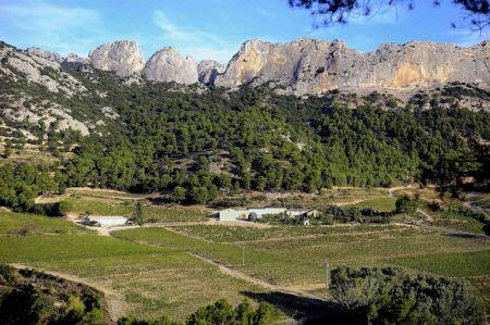 Domaine du Grand Montmirail