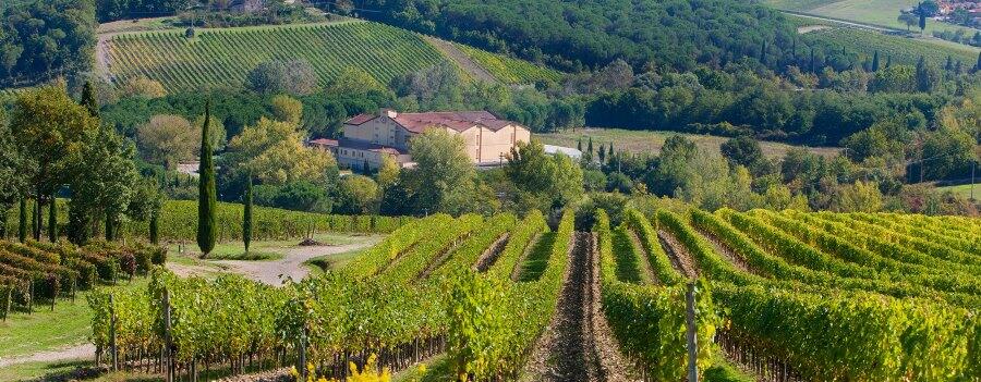 Weingut Castelli Del Grevepesa