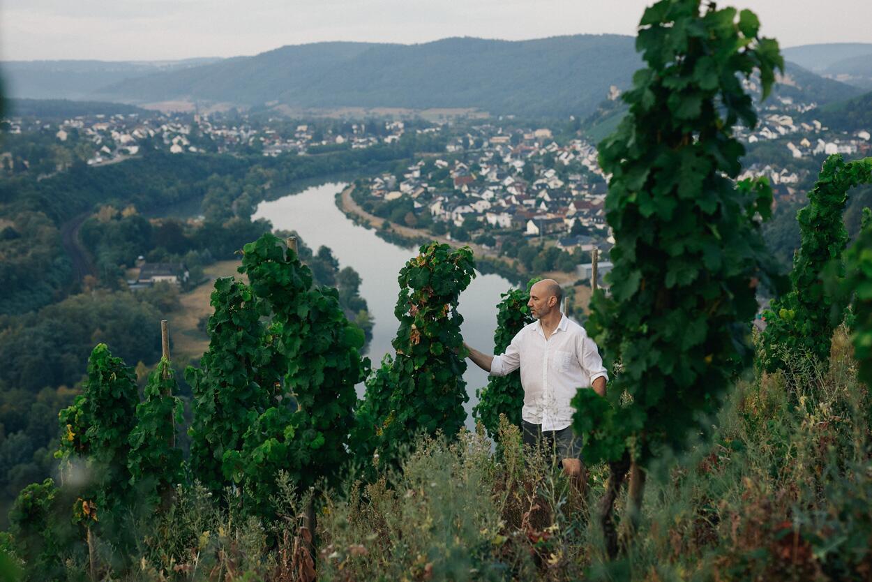 Weingut Peter Lauer