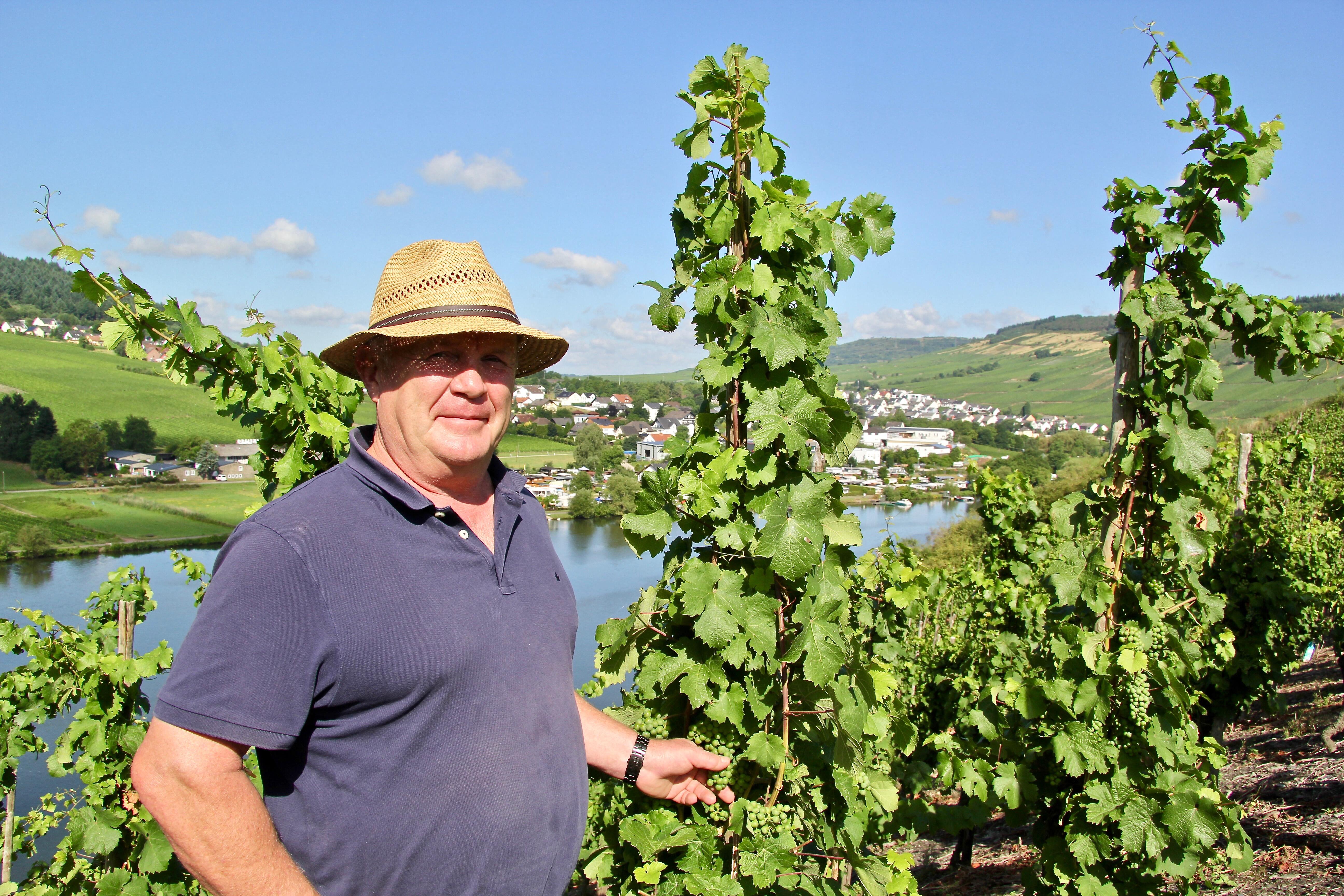 Weingut Kanzlerhof