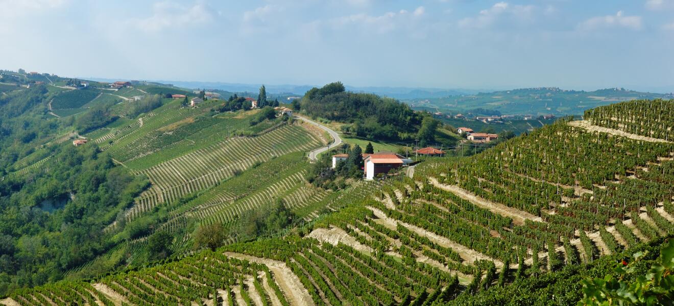 Azienda Agricola Orlando Abrigo