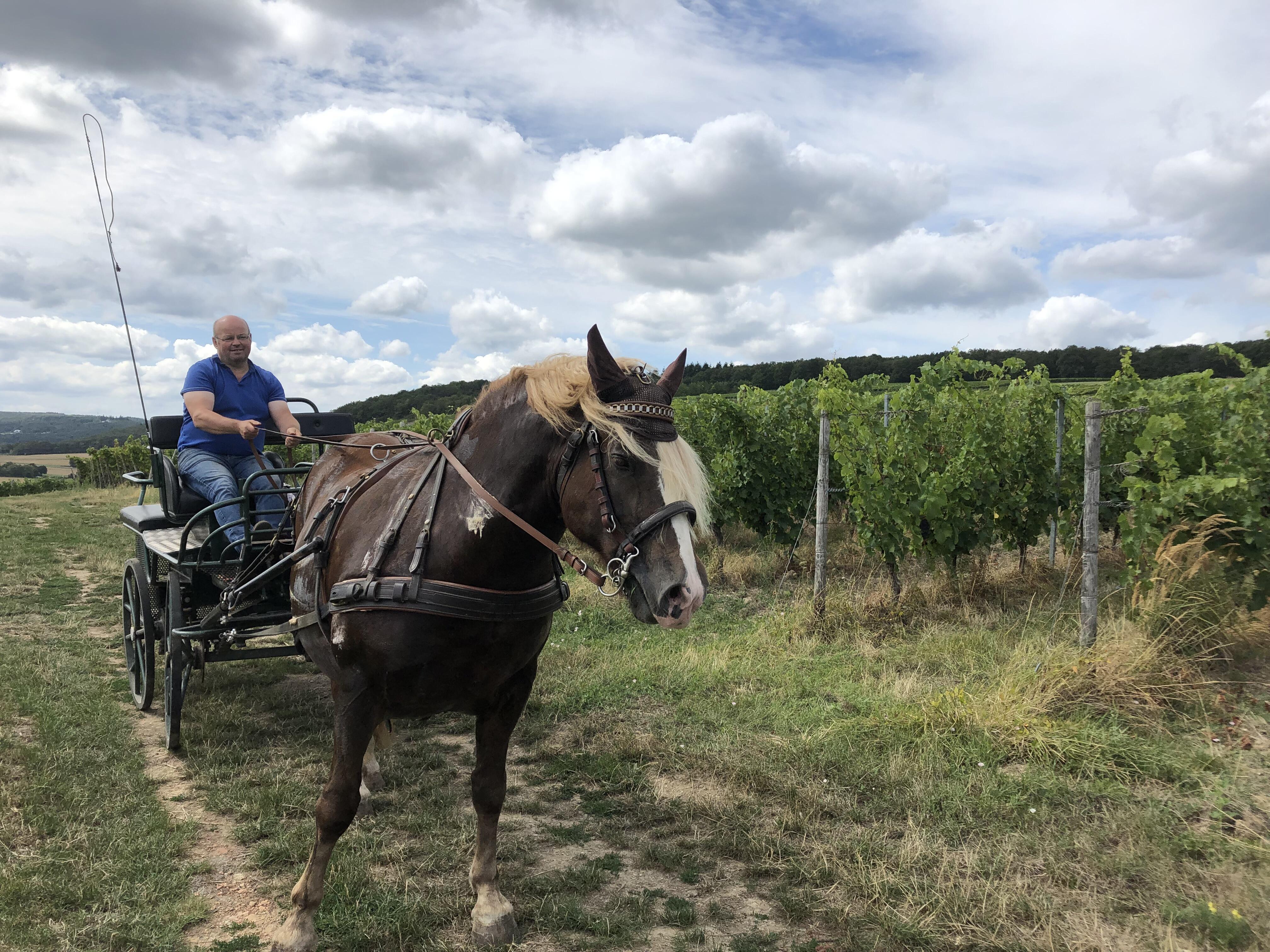 Weingut Bischof