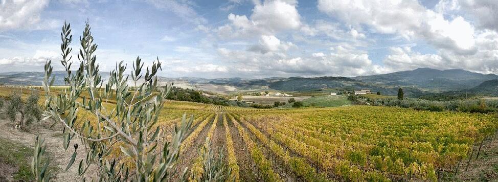 Azienda Agricola Amantis