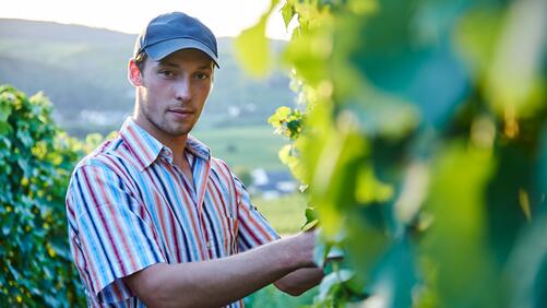 Weingut Daniel Anker