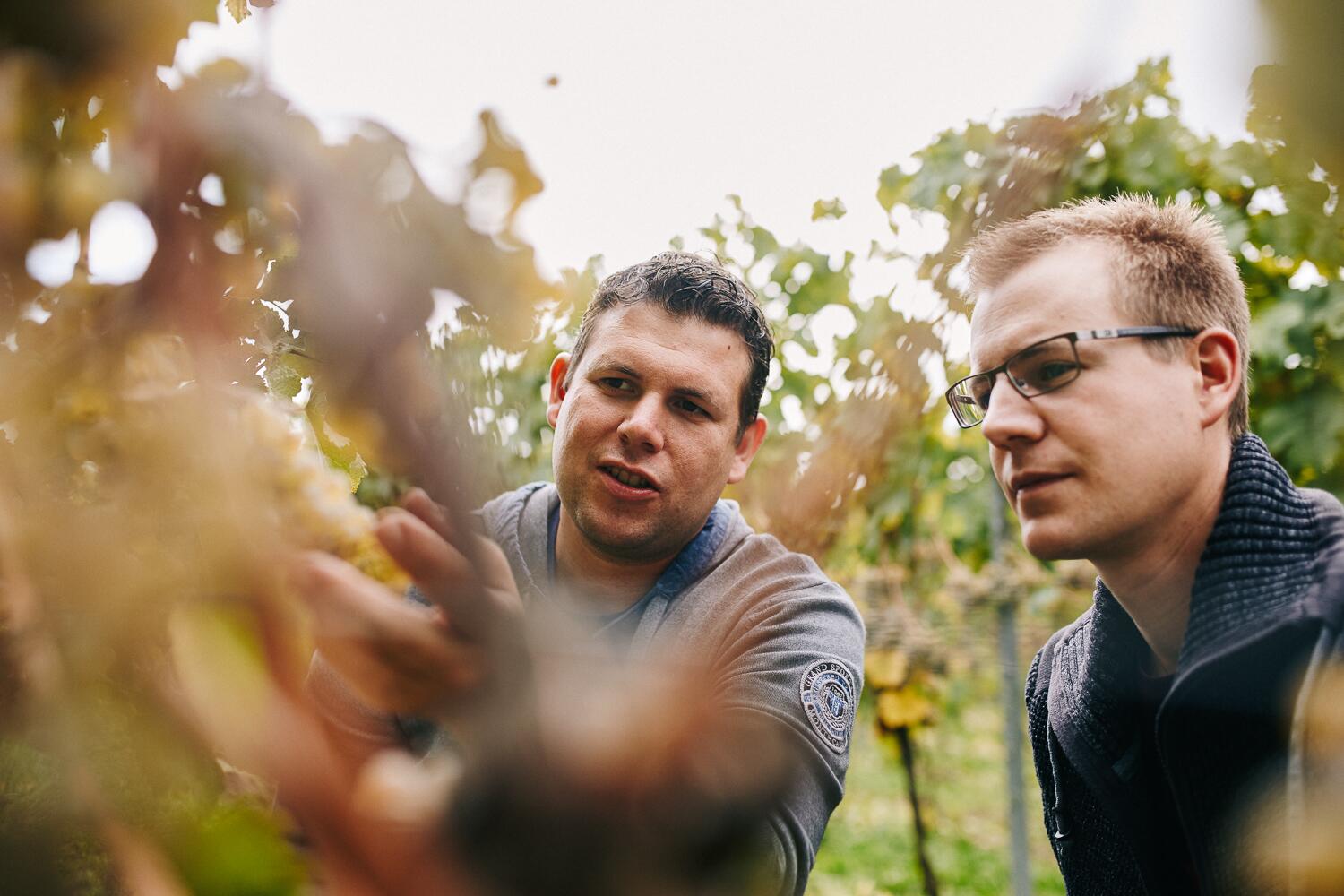 Braunewell Wein & Sekt GmbH