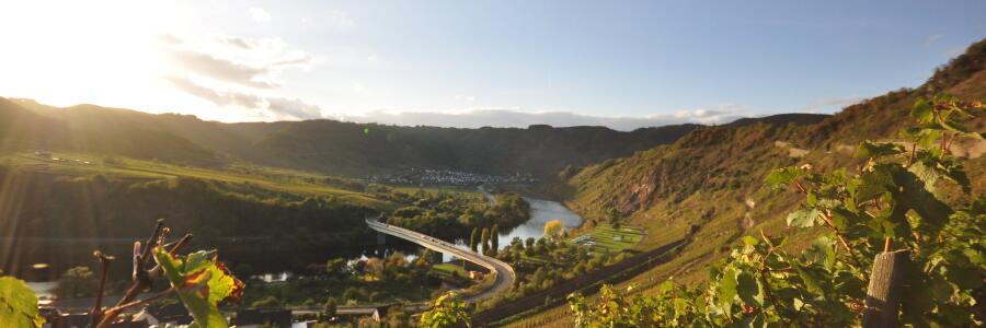 Weingut Amlinger & Sohn