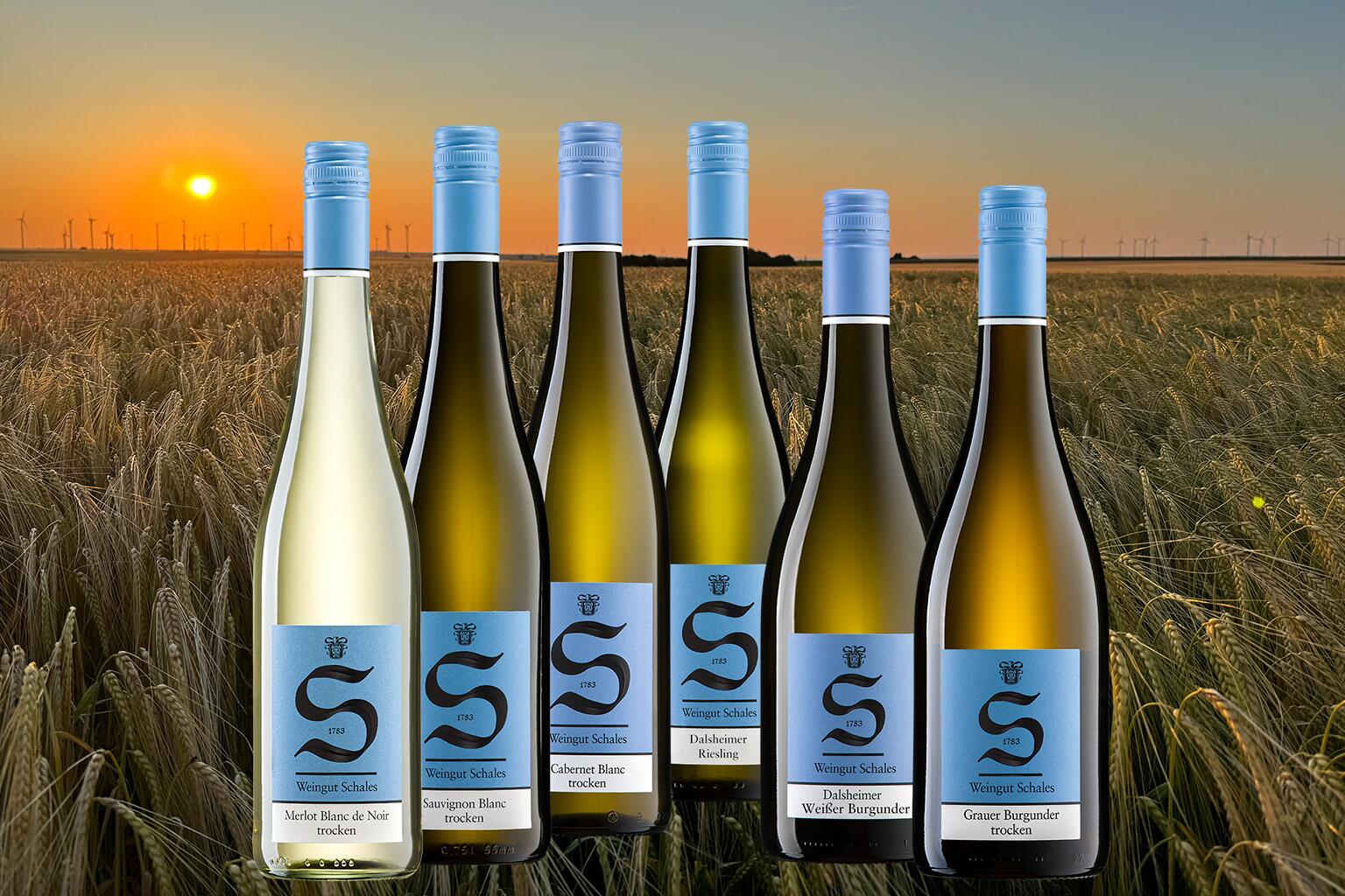 Sommer-Weine TROCKEN (Nr. P095)