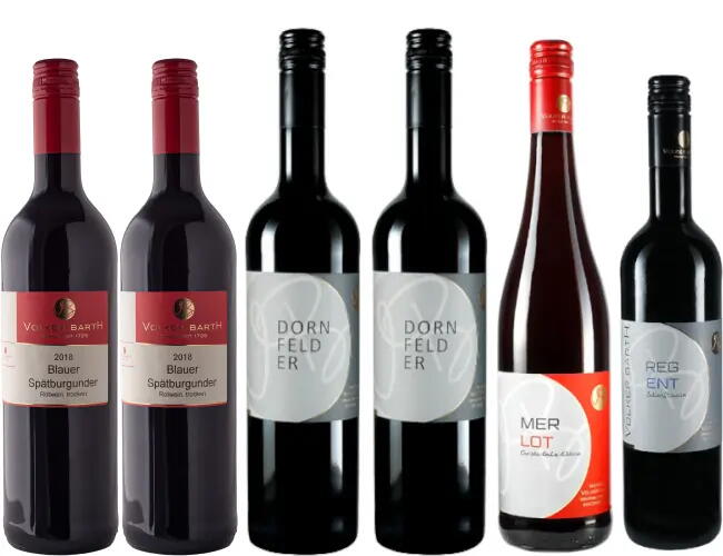 6er Probierpaket trockener Rotwein 