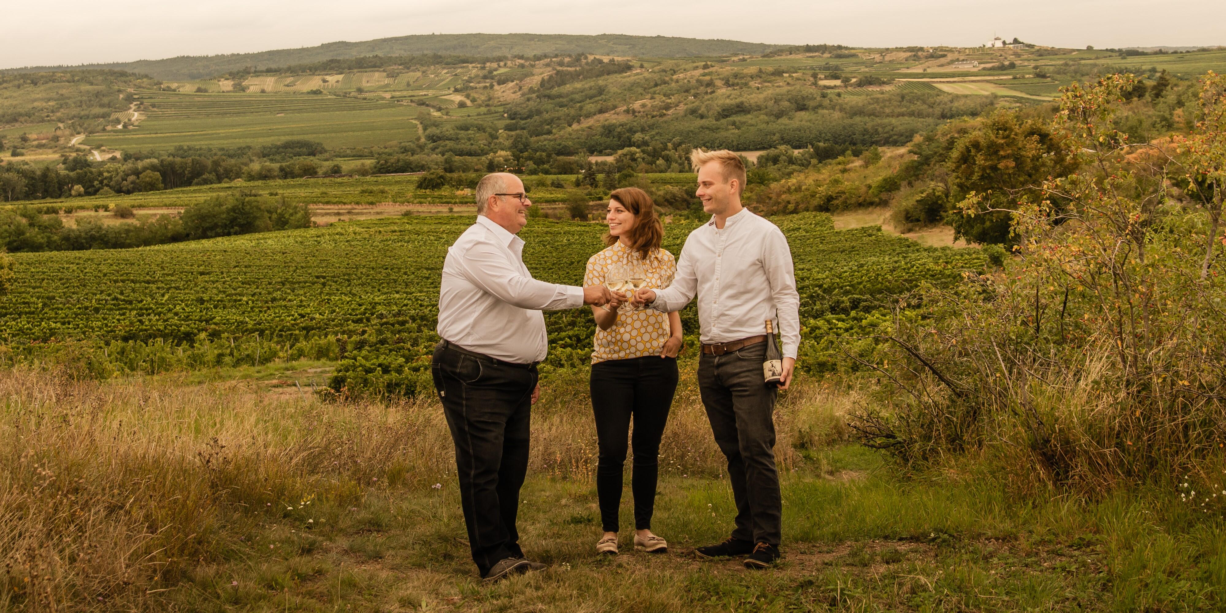 Weingut Strohschneider