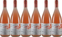 2024Kronenberg Spätburgunder Rosé trocken Weingut Koch