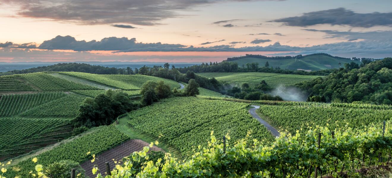 Weingut Udo Weber