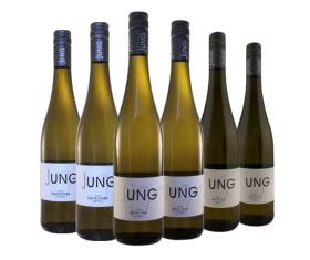 Weinpaket  "Pfälzer-Potpourri" Wein- & Likörhaus Jung