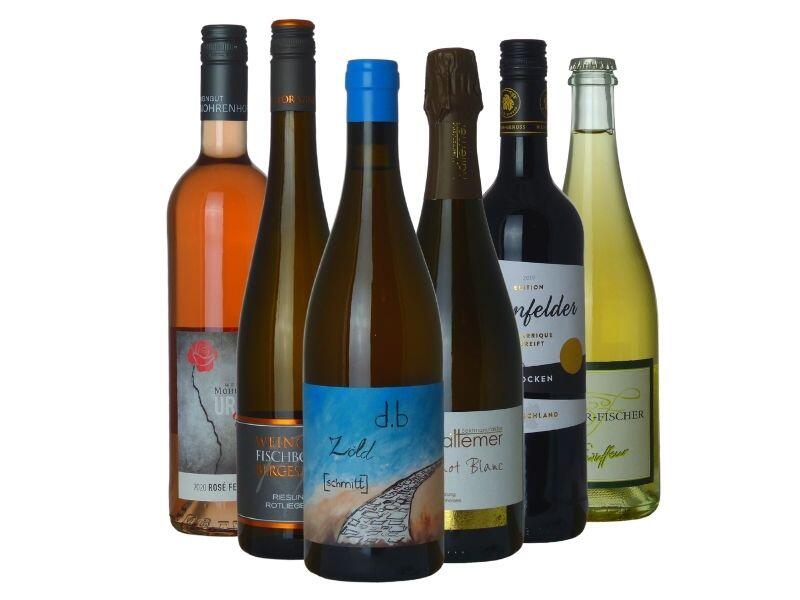 Queenie-Sixpack - nur noch Abholung und Barzahlung möglich!