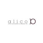 Logo von Alico Srl