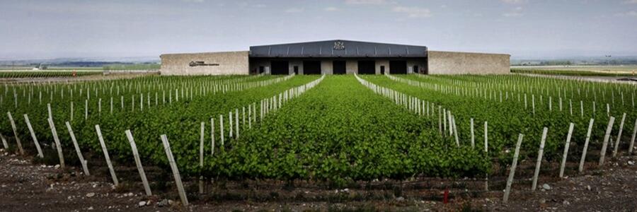 Weingut Bodegas El Portillo