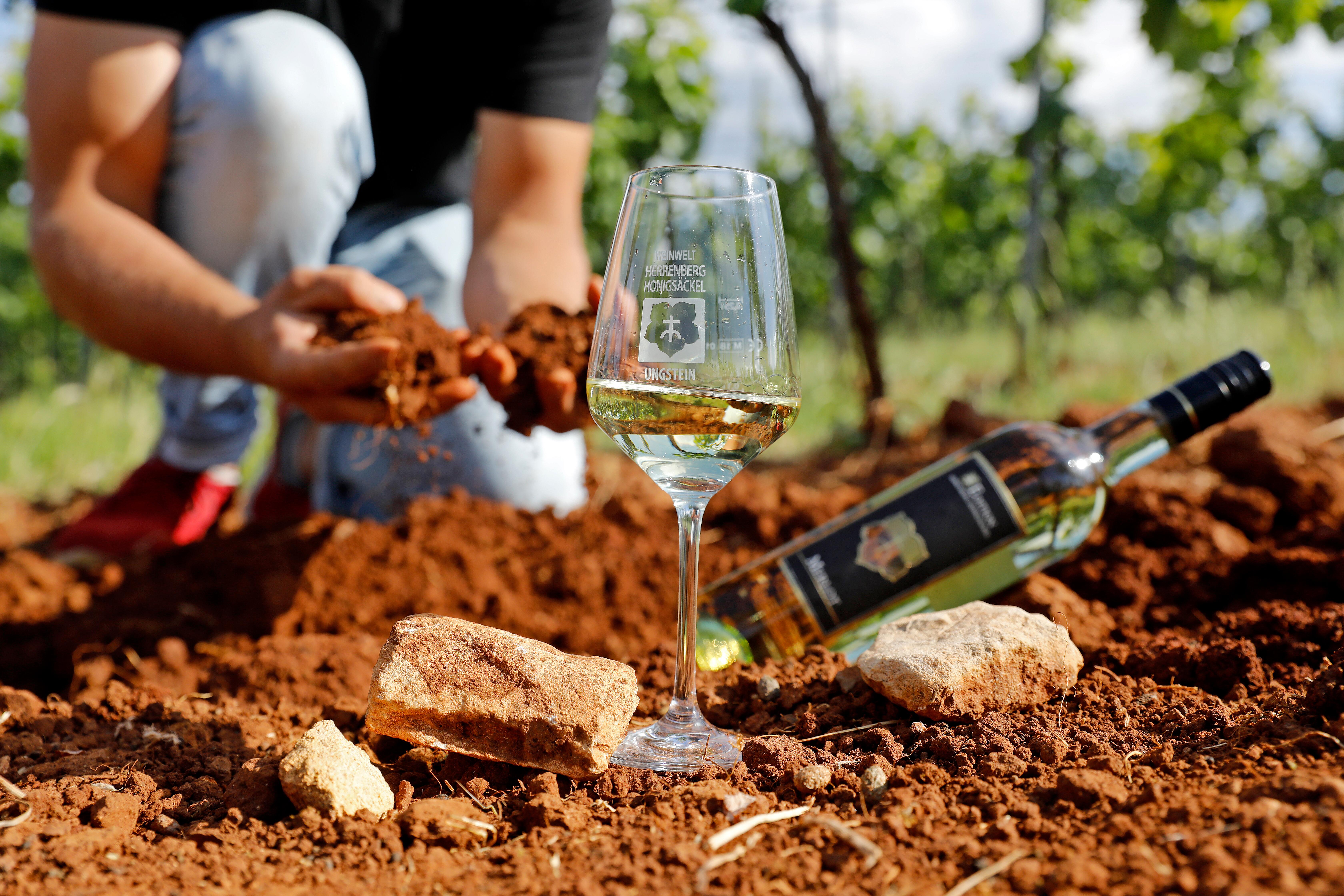 Weinwelt Herrenberg-Honigsäckel