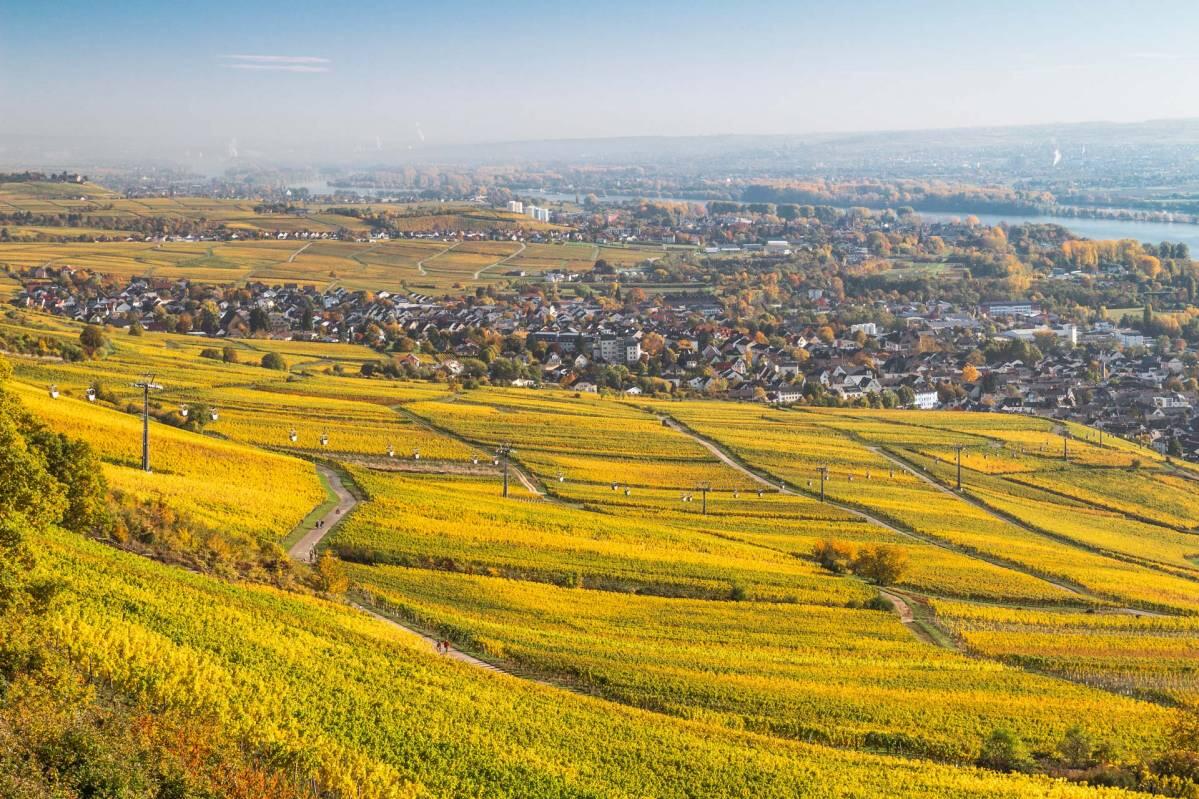 Rüdesheimer Sektkellerei Ohlig